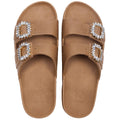 BARRA - CAMEL