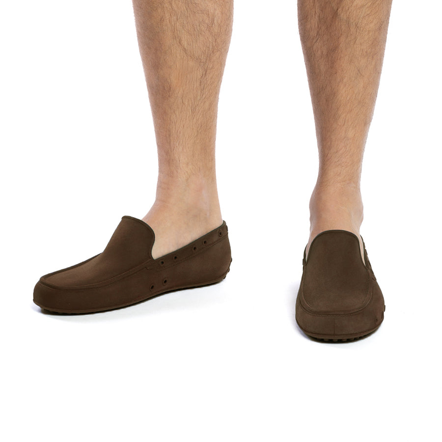 IATE - BROWN