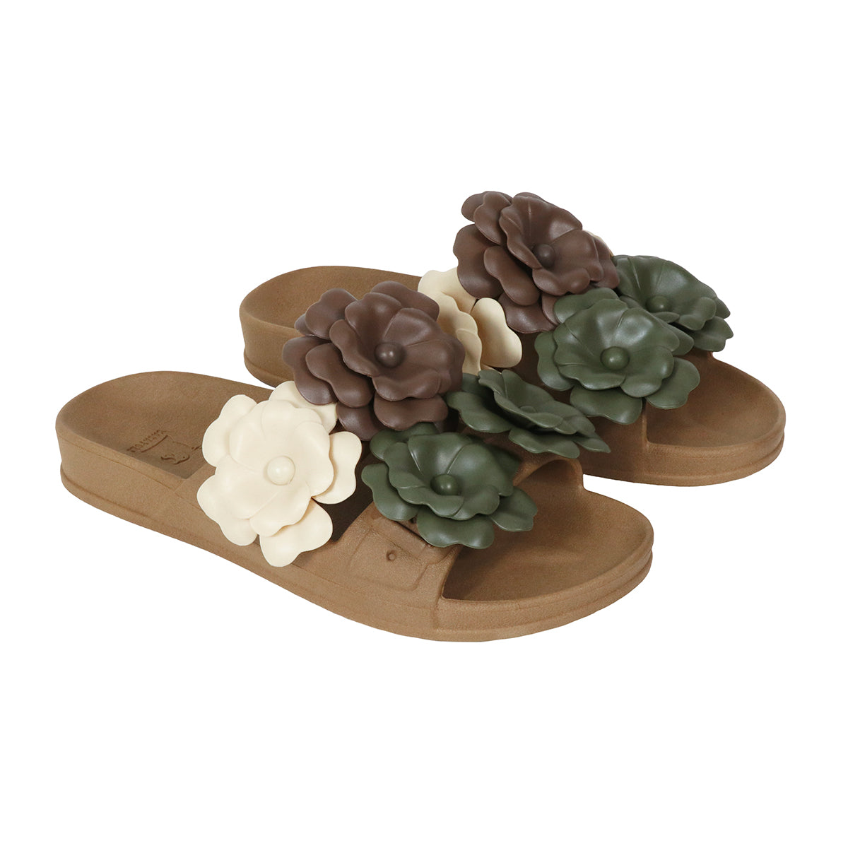 CAMELIA - CAMEL MULTICO