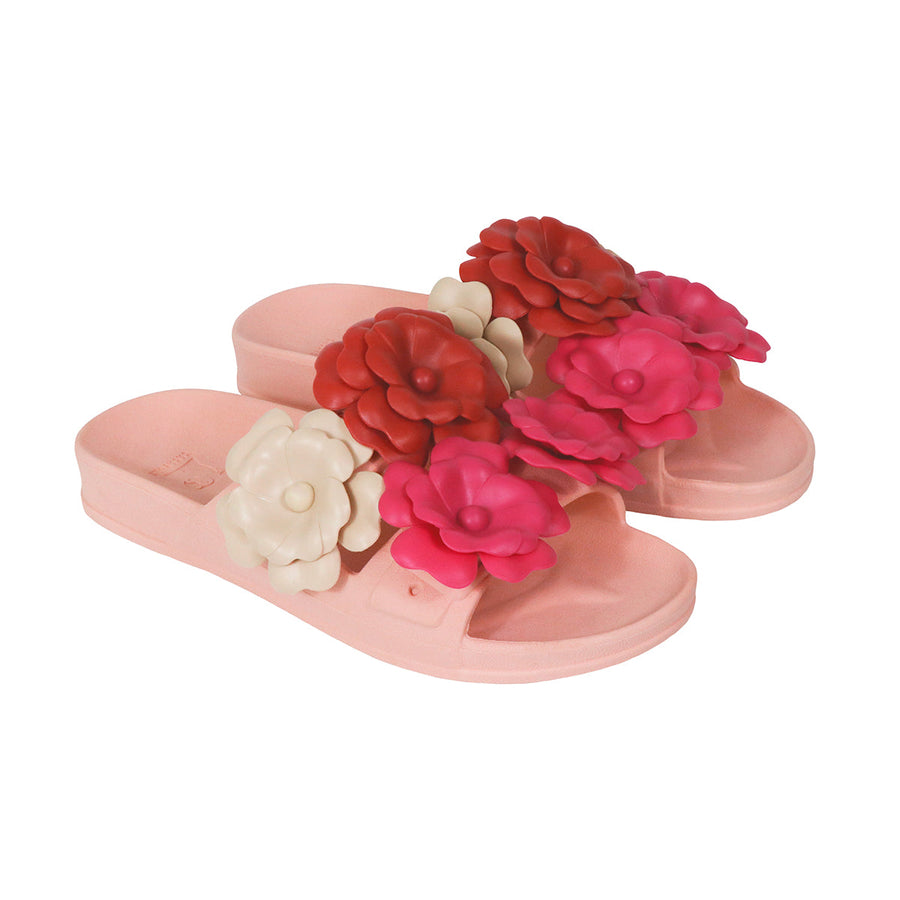CAMELIA - PINK MULTICO