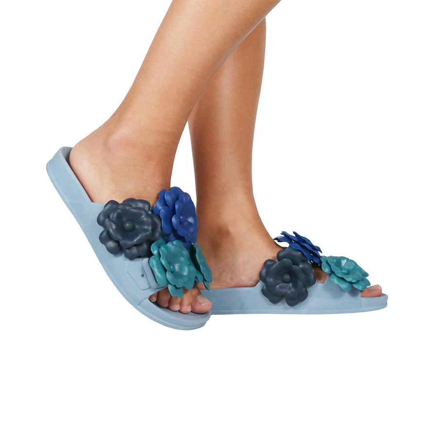 CAMELIA - BLUE MULTICO