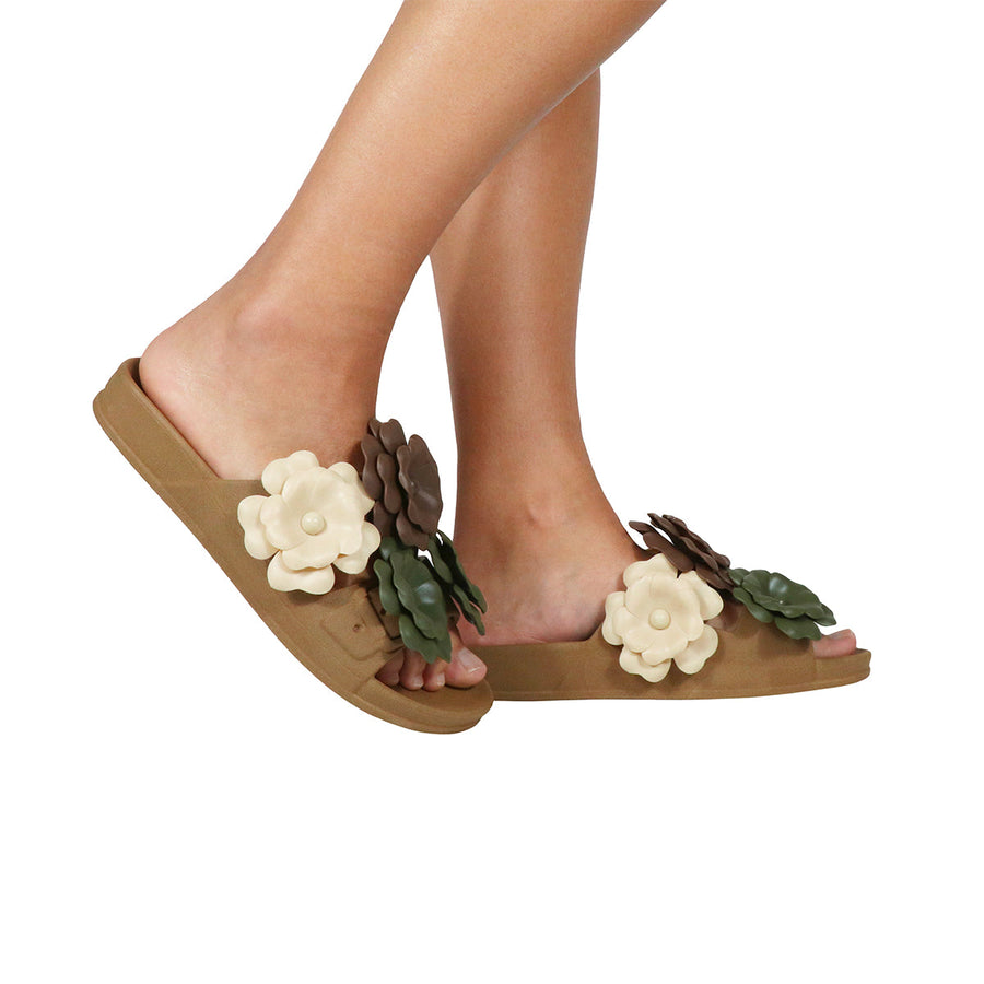 CAMELIA - CAMEL MULTICO